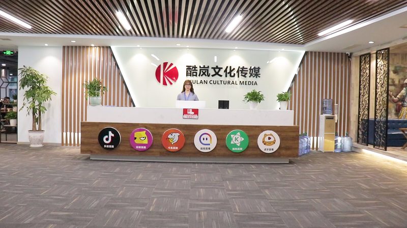 文化传媒公司资质许可证办理全攻略**